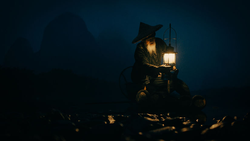NIKON - CORMORANT FISHERMAN